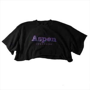 brandy melville aspen colorado cropped tee

by john galt